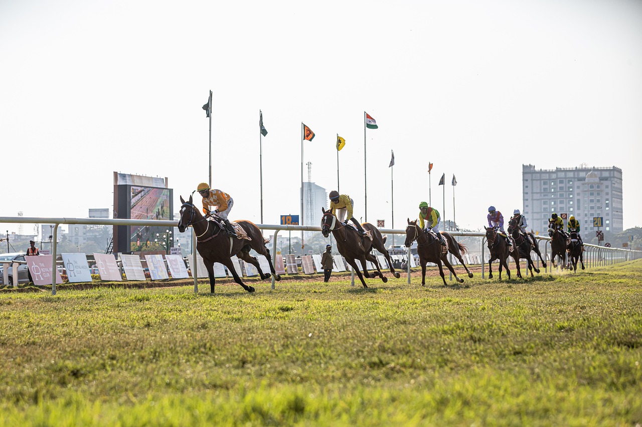 Trending Real Money Best Odds for Horse Racing: Pro Tips to Win in India (2026)